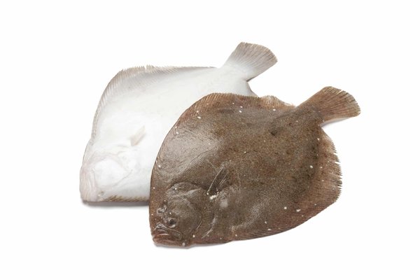 How to Achieve a Showroom Shine on a Black Audi R8 Using Detailing Clay?